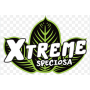 Xtreme / Evolution Dist (2)