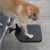 TWISTEP Dog Step for SUV by PortablePET